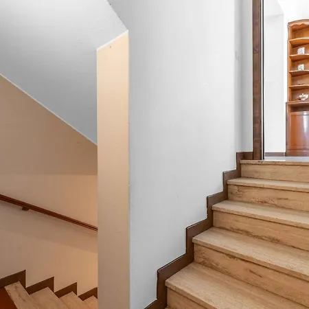 Unipol Forum- Concerts E Olympics- Betulla * Assago